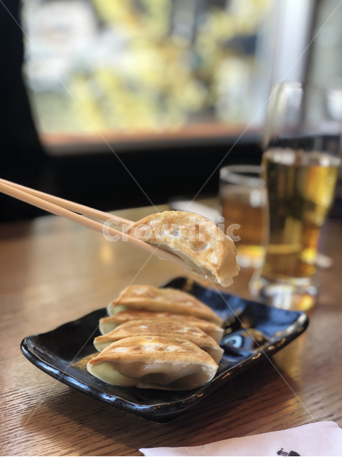 만두,교자,일식,일본음식,군만두,food