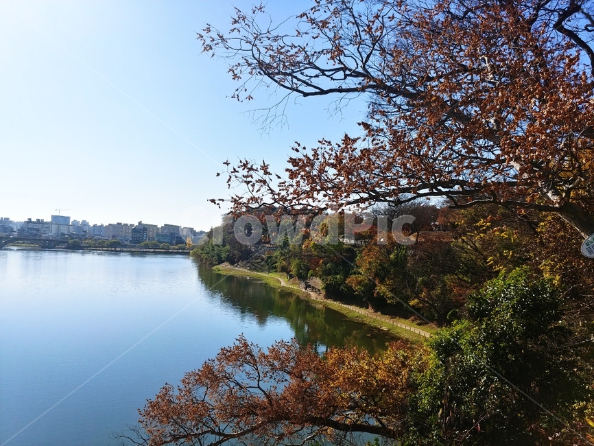 강,자연,물,옥외,nature,outdoors,가을,단풍,가을,계절,fall,autumn,season,자연,풍경,nature,landscape,water