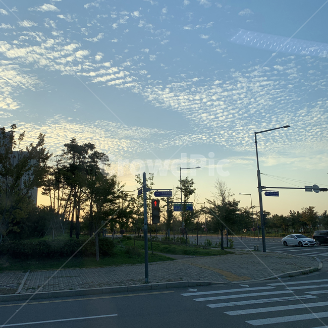 구름,cloud,road,도로,asphalt,아스팔트,tarmac,타맥,intersection,교차로,신호등,trafficlights,signallight,sky,하늘,하늘색,예쁜하늘,교통,교통수단,traffic,transportation