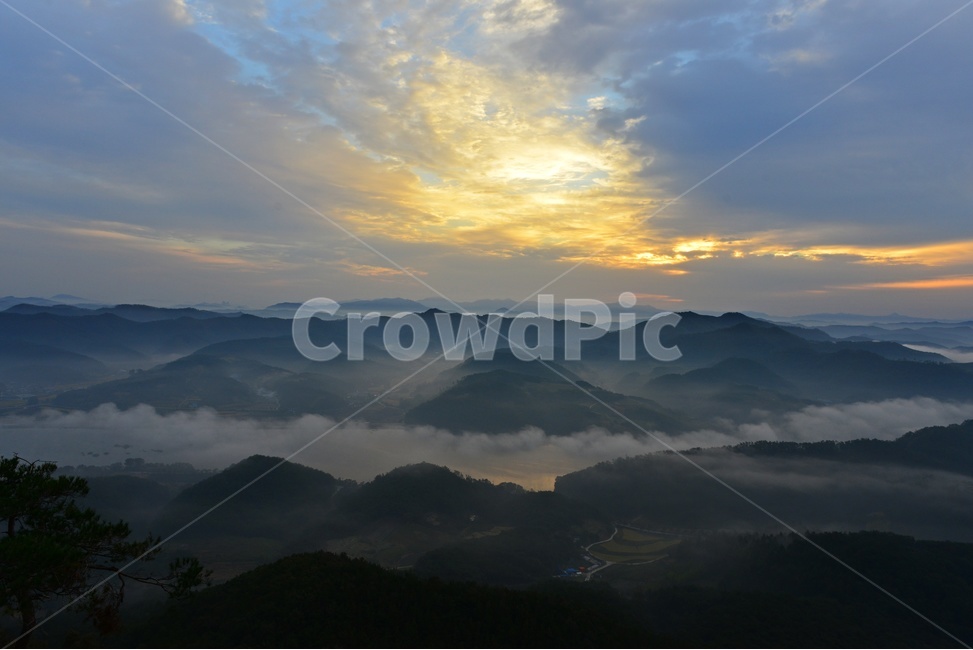 임실,국사봉,국사봉일출,여명,아침,해돋이,운해,소나무,nature,자연,mountain,산,mountainrange,산맥,outdoors,옥외,자연,풍경,nature,landscape