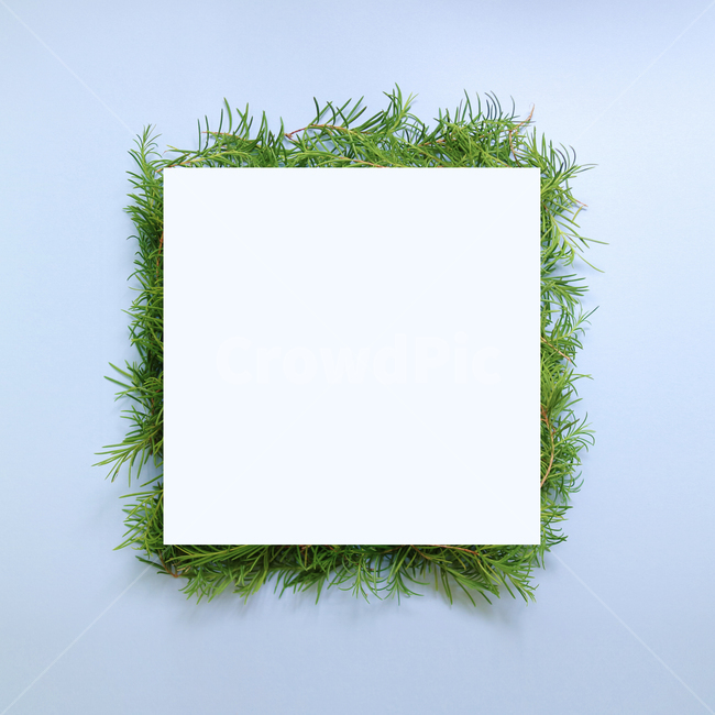 natural,nature,flora,leaf,flower,spring,background image,leaves,background,plant,season,frame