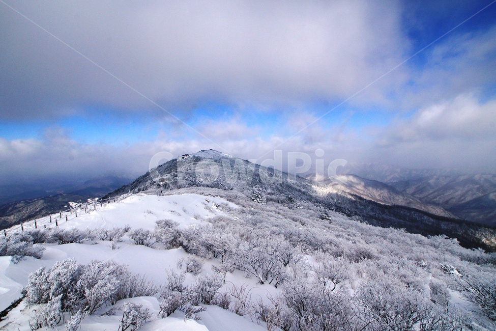 덕유산,설경,푸른하늘,눈,상고대,무주,주목,겨울,계절,winter,season,자연,풍경,nature,landscape,mountain,산,outdoors,옥외
