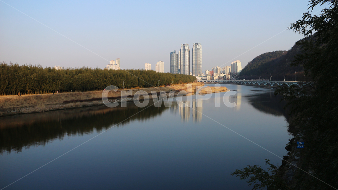 물,자연,옥외,nature,강,태화강