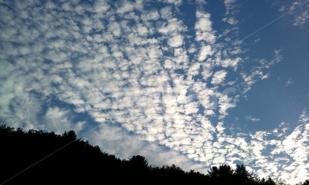 구름,하늘,자연,가을,풍경,경치,계절,자연,풍경,nature,landscape