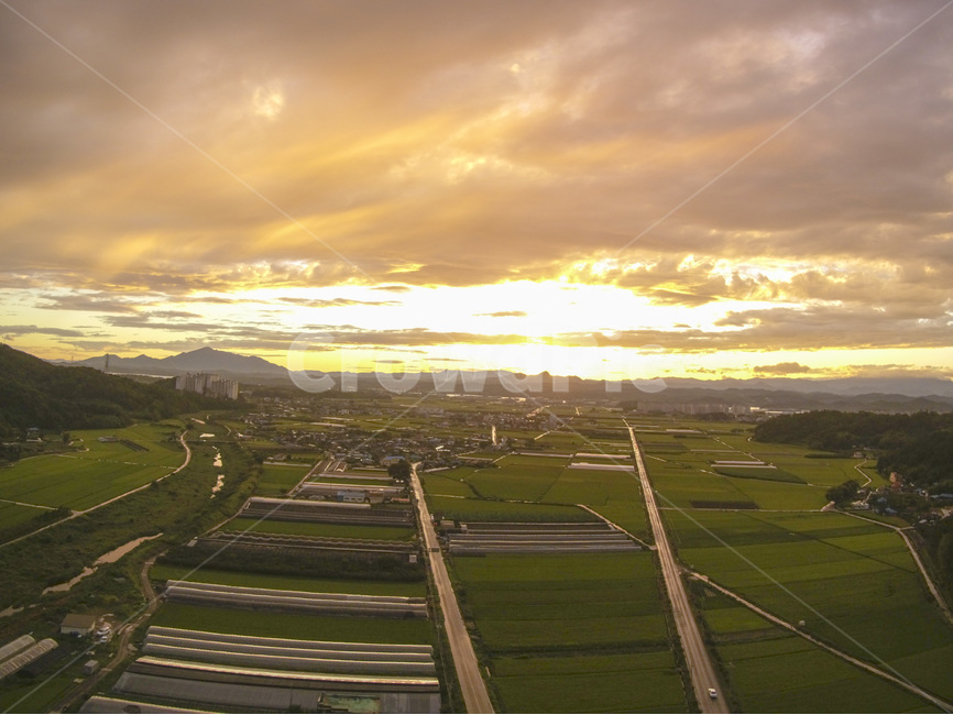 드론,항공촬영,시골,자연풍경,하늘,석양,sunset,country,논,구름,skyview,drone,landscape,korea,한국,자연,풍경,nature,landscape,한국자연풍경,한국자연경관,korea nature landscape,시골,마을,country,rural,town,outdoors,옥외,경치,scenery