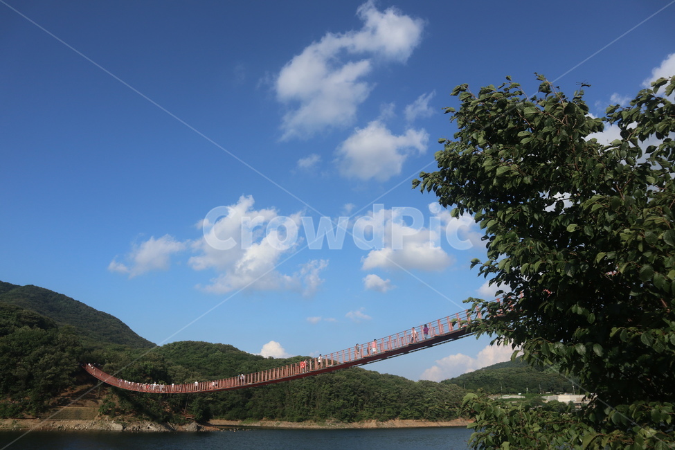 날씨,봄,풍경,자연,나무,강,바람,구름,물,bridge,다리,현수교,suspensionbridge