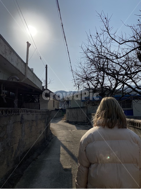 road,사람,도로,human,인간,person,여자,여자뒷모습,여성,나무,뒷모습,촌