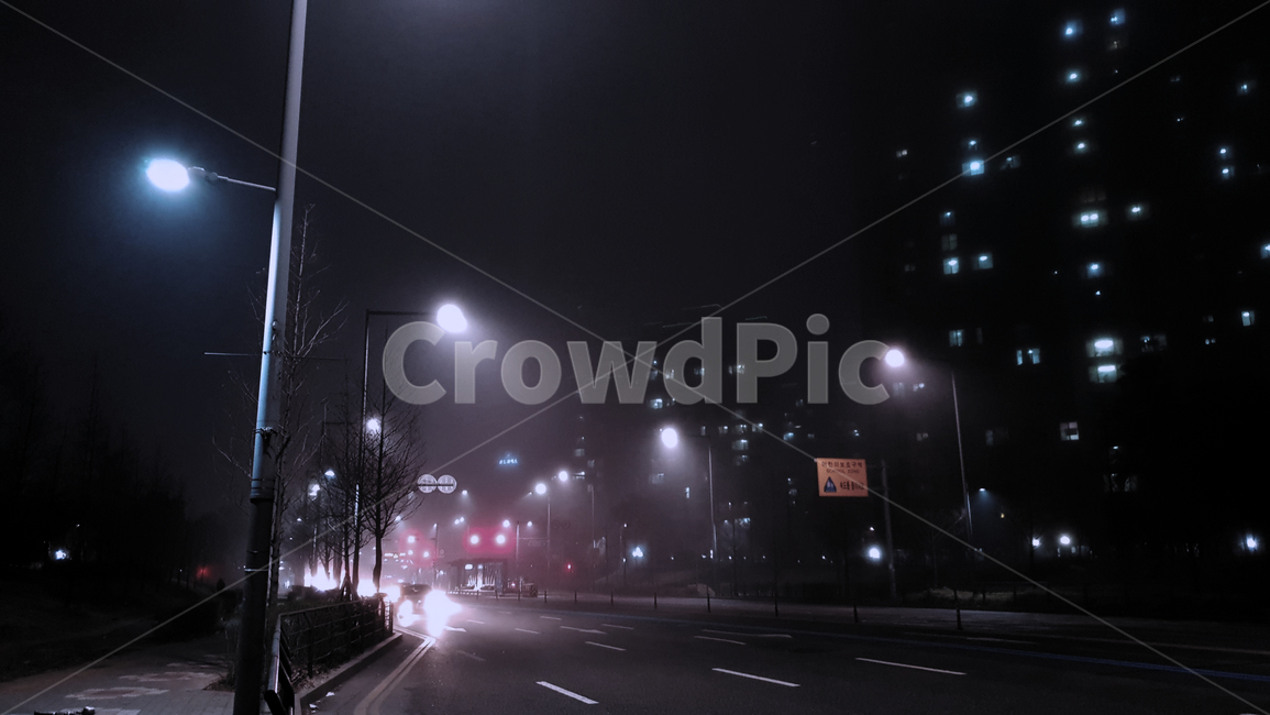 아스팔트,asphalt,도로,road,밤,가로등