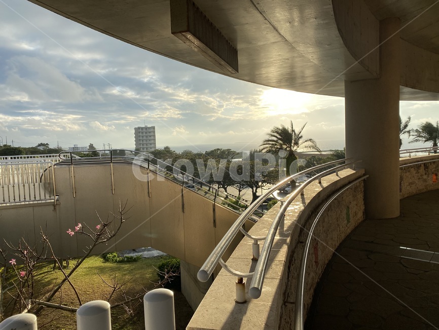 handrail,난간,banister,railing,sky,clouds,sun,sunlight,light,flower,tree,plant,spring,해질녘,노을,하늘,구름,계단,풍경