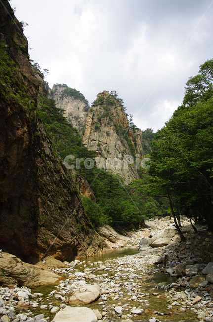 산,계곡,바위,암석,풍경,나무,자연,풍경,nature,landscape,outdoors,옥외,cliff,낭떠러지