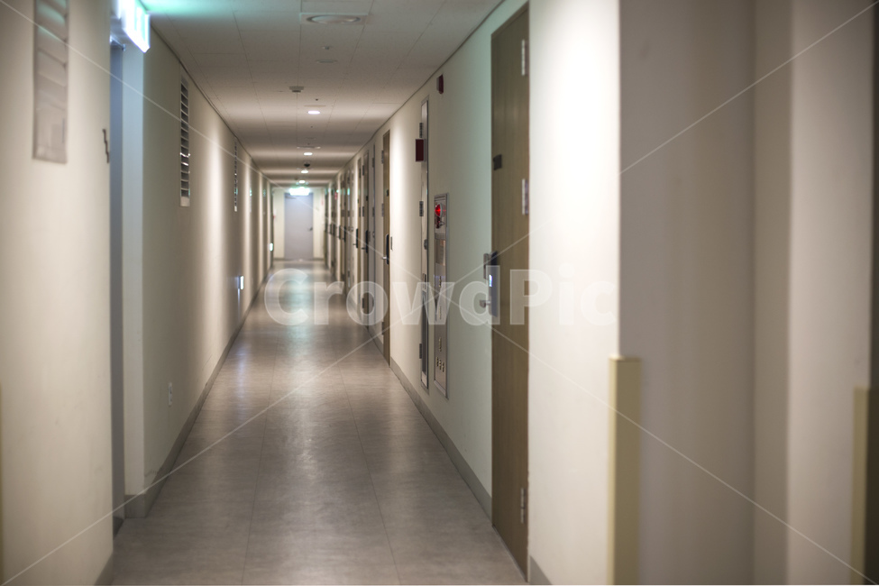 복도,통로,인테리어,건물,벽,문,룸,객실,호텔,인테리어,실내디자인,interior design