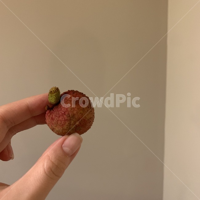 과일,네일,손,sweet,달콤한,분위기,배경