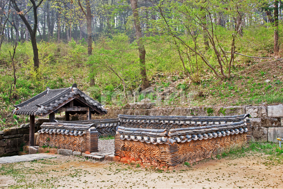 돌담,전통,봉선사,사찰,흙담,자연,계절