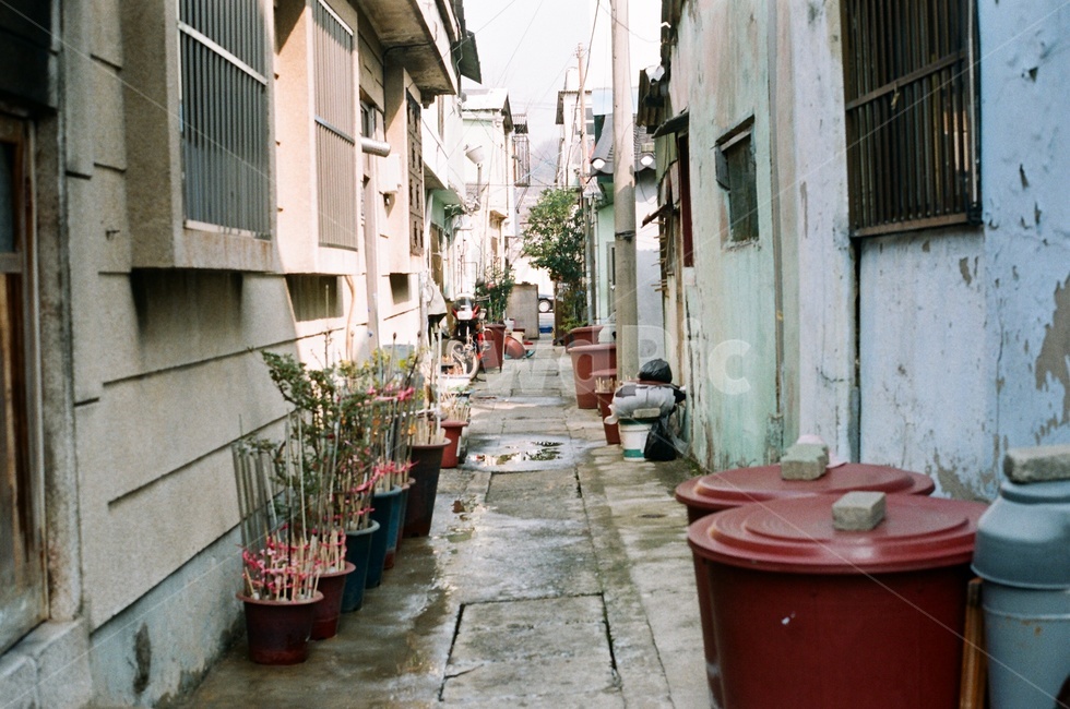 길,필카,필름카메라,빈티지,감성,빛,풍경,골목,골목길,따뜻함,추억,feeling,sensible,film,골목길,alley,빈티지사진,빈티지느낌,빈티지감성,vintage,road,도로,town,도시,city,시티,street,거리,urban,어반,building,건물