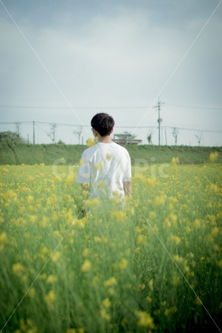 유채꽃,꽃,사람,자연,감성,감성사진,봄,계절,spring,season,사람,인물,인간,human,person,남성,남자,man,male,grassland,목초지,field,들,outdoors,옥외,nature,rural,농촌,farm,농장,meadow
