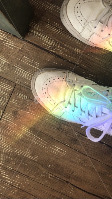 clothing,의류,apparel,의복,footwear,신발류,shoe,운동화,무지개,햇빛