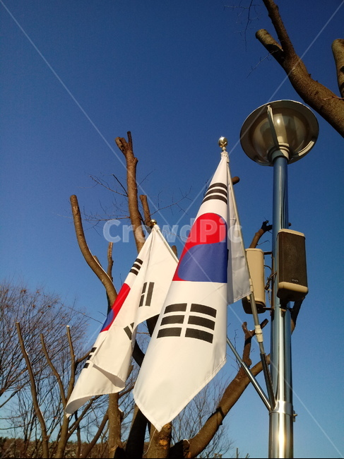 옥외,태극기,국기,깃발,국기봉