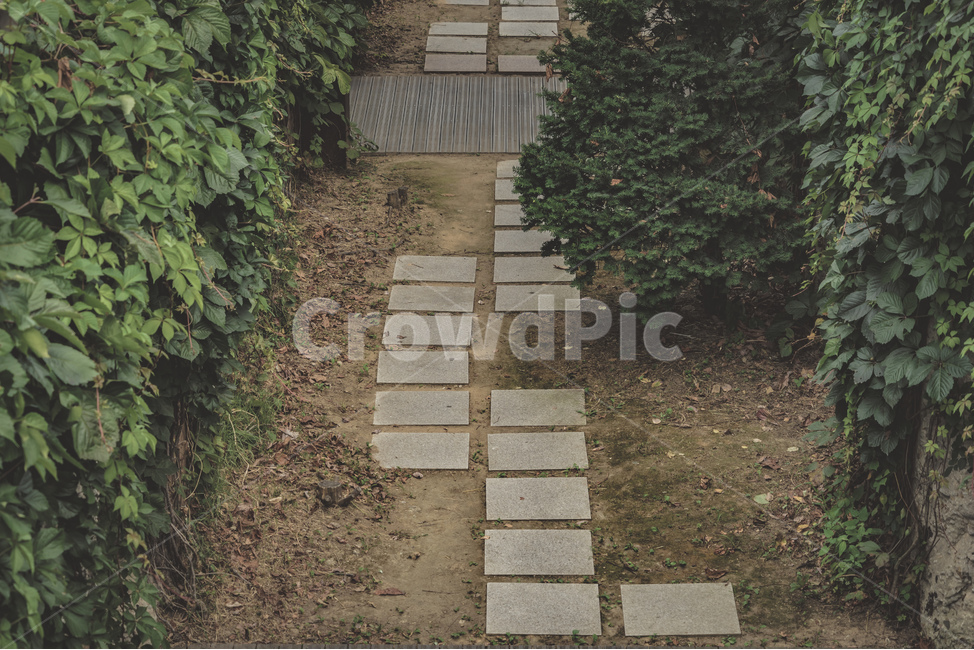 서울,서서울공원,공원,산책로,나무,풀,흙,여름,풍경,seoul,park,walk,tree,wood,plants,sand,summer,view
