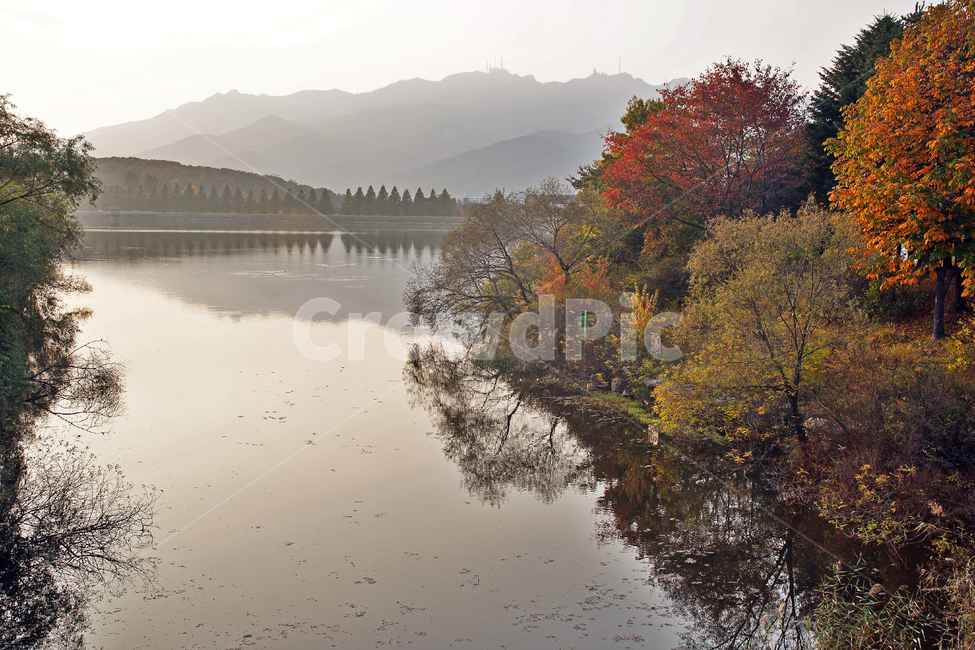 과천저수지,과천대공원,과천,관악산,저수지,반영,가을,계절,가을,계절,fall,autumn,season,water,물,nature,자연,outdoors,옥외,land,땅