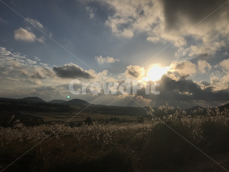 노을,갈대밭,해질녘,구름,노을진언덕,바람,자연,풍경,nature,landscape,flare,플레어,light,빛