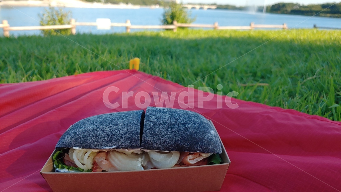 치아바타,샌드위치,먹물빵,피크닉,잔디,공원,sandwitch,bread,빵,호수공원