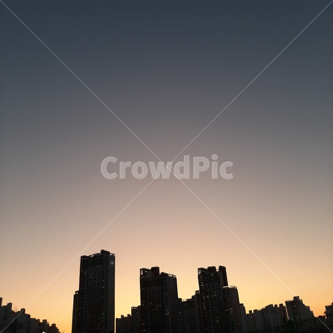 silhouette,nature,실루엣,자연,outdoors,옥외,노을,석양