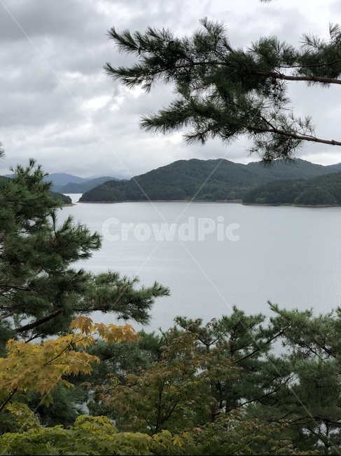 나무,자연,물,강,nature,water,휴식