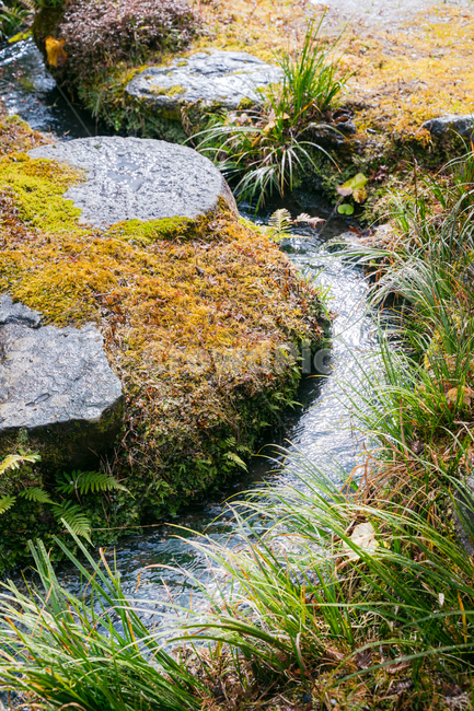 개울,정원,식물,풍경,풀,돌,자연,풍경,nature,landscape,plant