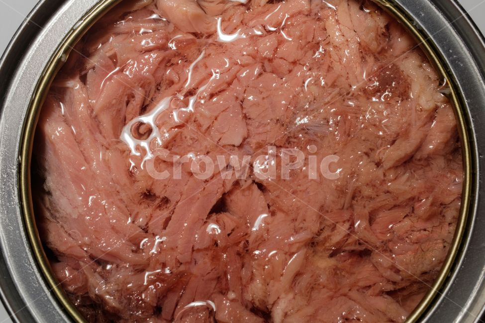 참치,해산물,통조림,캔,물고기,생선,통조림식품,금속,용기,식품,식재료,음식,식재료,요리,food,cook,meal,dishes,food reserves
