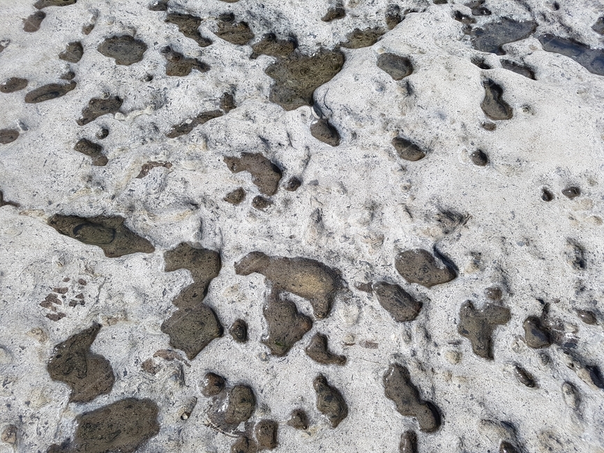 돌,변산,격포리,채석강,구멍,자연,풍경,nature,landscape,rock,록,ground,바닥