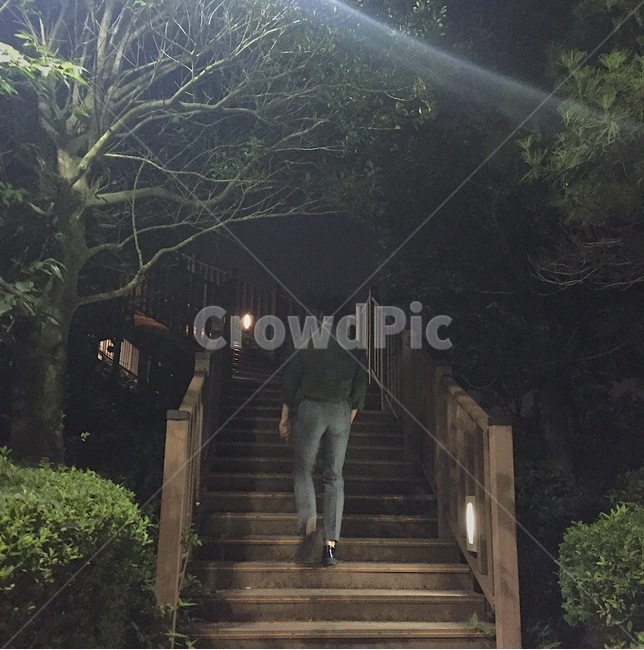 산책,야경,밤,새벽,감성,자연,풍경,nature,landscape,사람,인물,인간,human,person,남성,남자,man,male,handrail,난간,banister