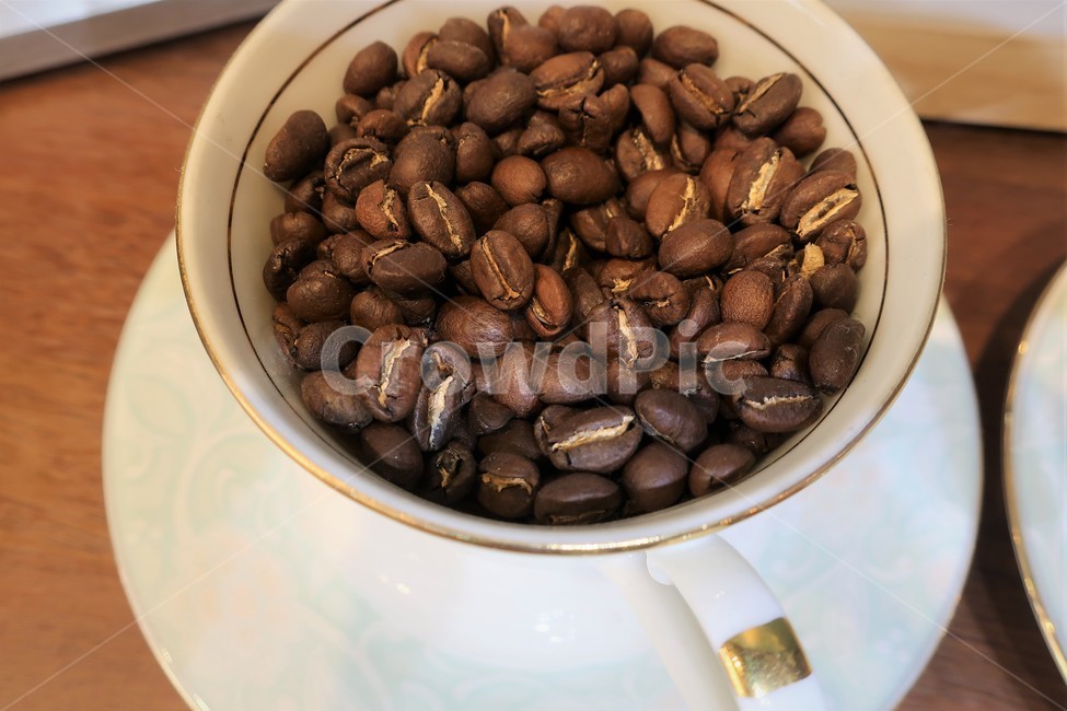 커피,원두,생두,음료,컵,커피콩,카페인,음료수,기호,식품,차