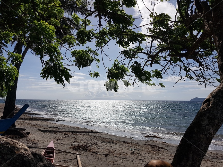 wood,나무,ground,바닥,beach,ocean,바다,태양