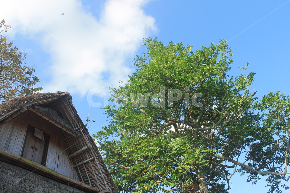 인도네시아,발리,힌두교,힌두,힌두사원,자연,녹색,indonesia,bali,temple,사원,hindu,hinduism,hindutemple,green,sky,blue,bluesky,하늘,파란하늘,푸른하늘,나무,tree,housing,주택,building,건물