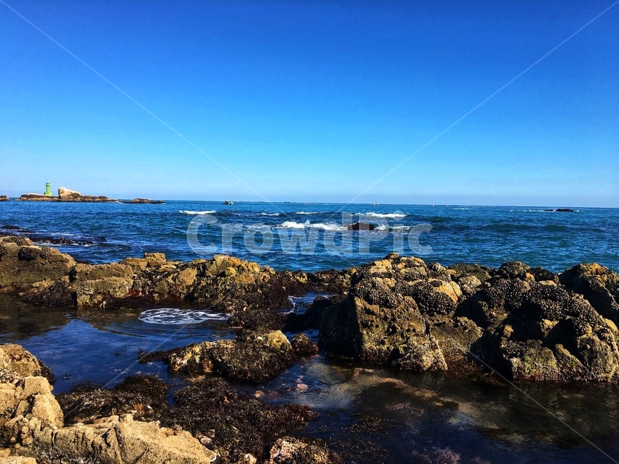 기장,해안,바다뷰,promontory,곶,바다,하늘,파도,부산바다,기장바다