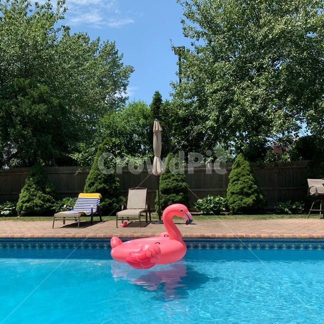 햄튼,Hampton,pool,vacation,휴가,여름휴가,플라밍고,뉴욕햄튼,뉴욕별장