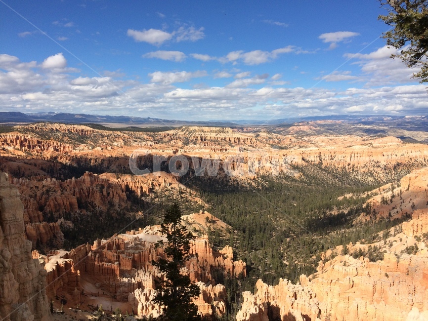 캐년,미서부,브라이언캐년,브라이언캐니언,미국캐년,5대캐년,bryce,brycecanyon,canyon,자연,풍경,nature,landscape,랜드마크,landmark,tourist attraction,해외,외국,세계,foreign,oversea,world,세계자연풍경,해외자연풍경,외국자연풍경,world nature landscape,세계랜드마크,해외랜드마크,외국랜드마크,world landmark,world tourist attraction,outdoors,옥외,mountain,산