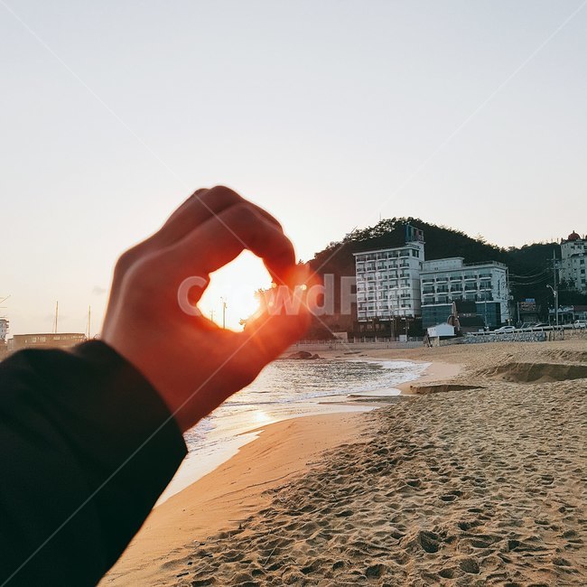 일출,강릉,정동진,새벽,해변,해수욕장