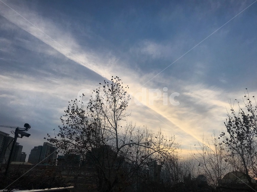 하늘,구름,날씨,나무,감상,기분