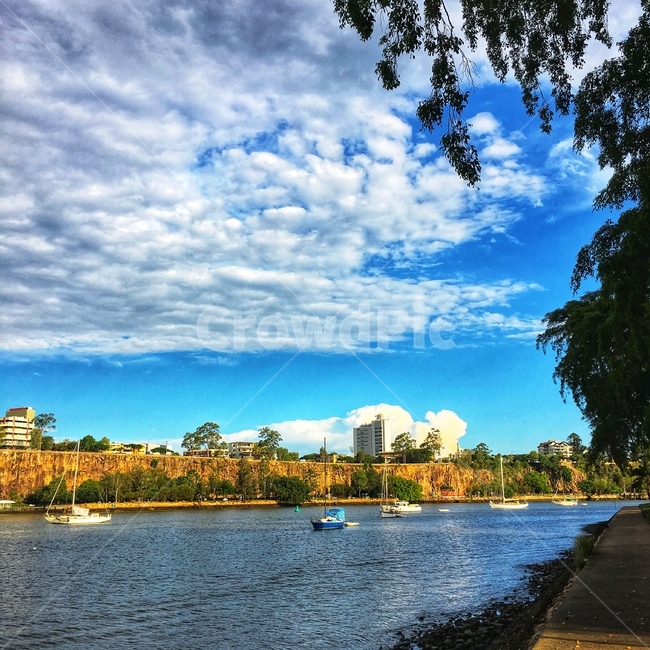 공원,보타닉가든,브리즈번,강,산책,도시,풍경,city,landscape,water,물,outdoors,옥외,nature,자연