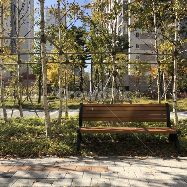 가을,벤치,의자,햇빛,휴식,bench,chair,autumn,day,여유,자연,풍경,nature,landscape
