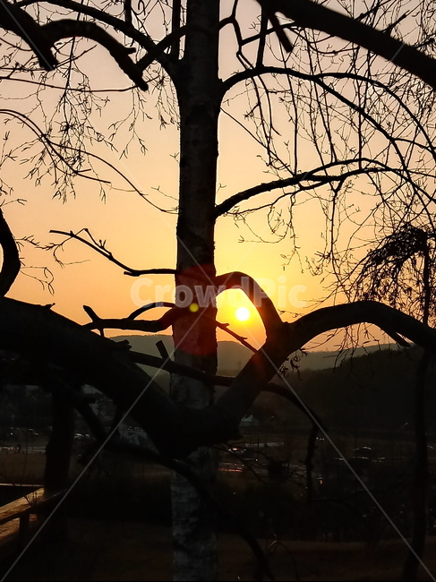 석양,일몰,태양,옥외,붉은하늘,하늘,sunset,outdoors,sunlight,황혼,경치,sky,redsky,nature,자연,풍경,nature,landscape