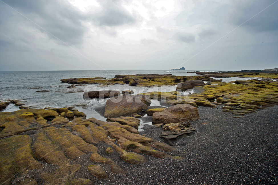 제주도,서귀포시,화순해변,퇴적암,바다,자연,해안