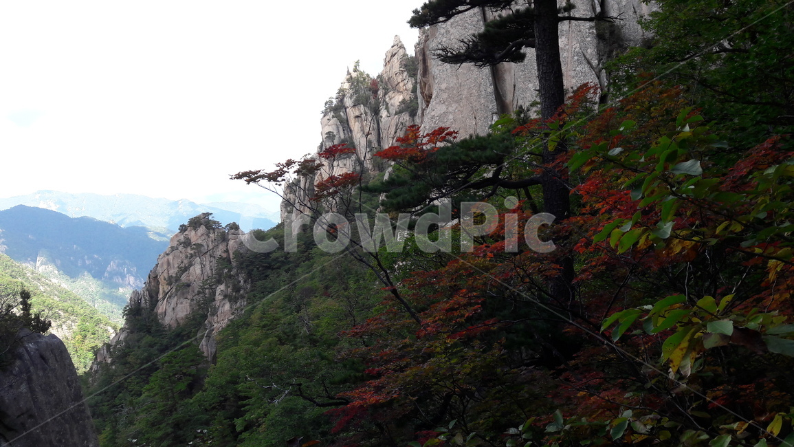 설악산,용아장성,암벽,가을,단풍,봉정암,가을,계절,fall,autumn,season,자연,풍경,nature,landscape,한국자연풍경,한국자연경관,korea nature landscape,outdoors,옥외,tree,나무,plant,식물