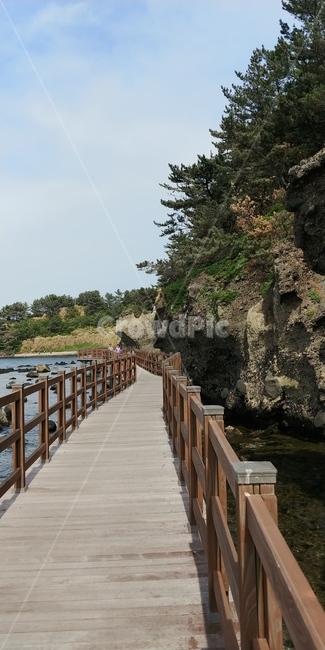 road,길,하늘,석양,nature,water,바다,물,자연,바닷물,파도,바다풍경,풍경,산책로,다리,bridge,boardwalk,나무다리