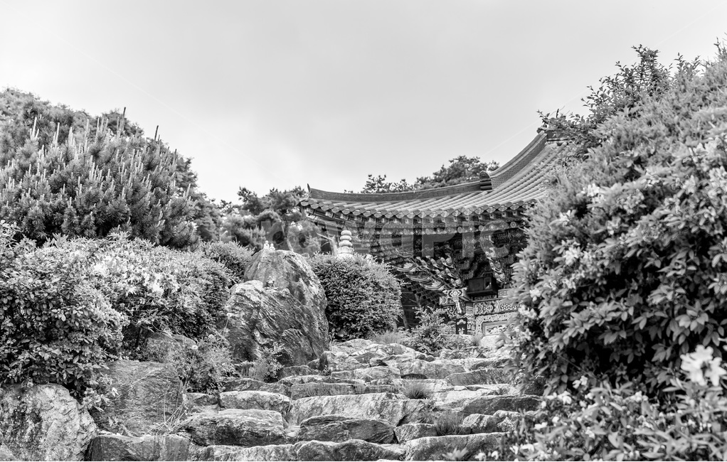 사찰,불교,기와,돌계단,문양,한국전통,한국문화,korean traditional,korean culture,흑백,모노톤,monochrome,black and white,건축물,건물외관,exterior,building,structure,architecture,construction