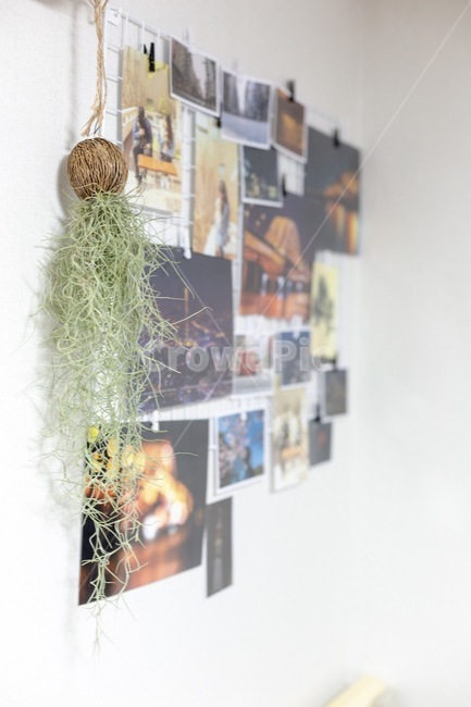 인테리어,플랜테리어,벽,꾸미기,사진,인테리어,실내디자인,interior design