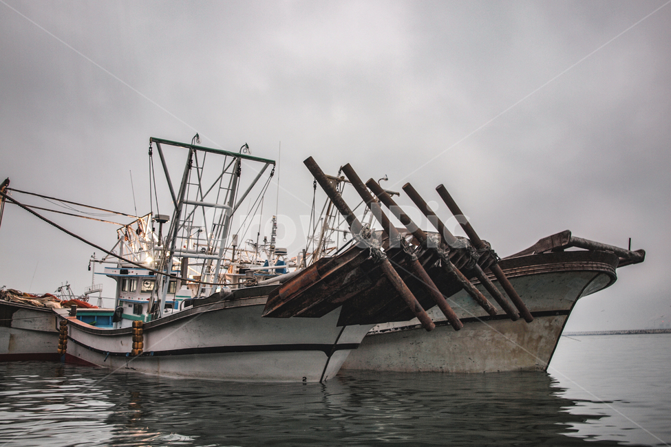 바다,어선,포구,하늘,어촌,어업,교통,교통수단,조업,산업,industry,industrial,어업,fishery,fishing industry