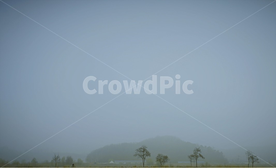 사람,안개,풍경,자전거,소래,갯골,자연,풍경,nature,landscape,흑백,모노톤,monochrome,black and white,outdoors,옥외