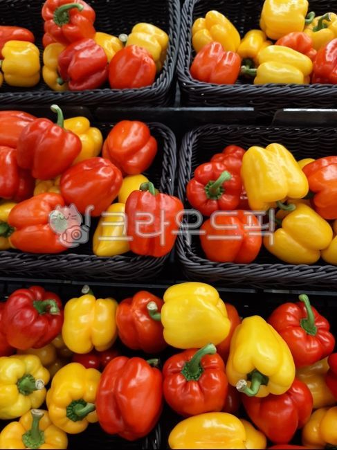 야채,채소,vegetable,식재료,파프리카,paprika,피망